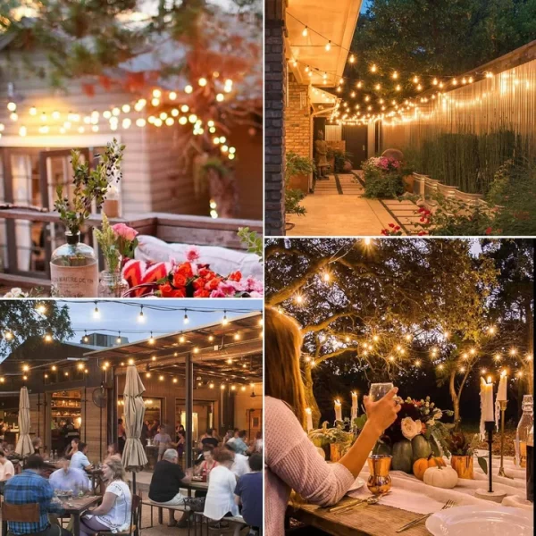 Outdoor String Lights with Bulbs - Image 3